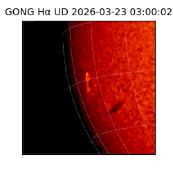 gong - 2026-03-23T03:00:02