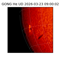 gong - 2026-03-23T09:00:02