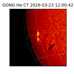 gong - 2026-03-23T12:00:42