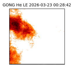 gong - 2026-03-23T00:28:42