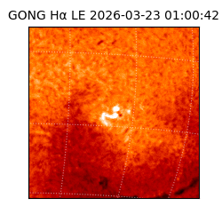 gong - 2026-03-23T01:00:42