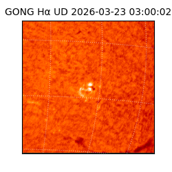 gong - 2026-03-23T03:00:02