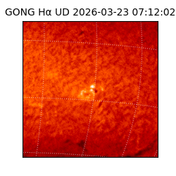 gong - 2026-03-23T07:12:02