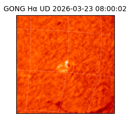 gong - 2026-03-23T08:00:02