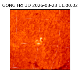 gong - 2026-03-23T11:00:02