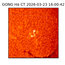 gong - 2026-03-23T16:00:42