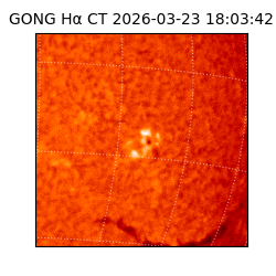 gong - 2026-03-23T18:03:42