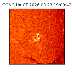 gong - 2026-03-23T19:00:42