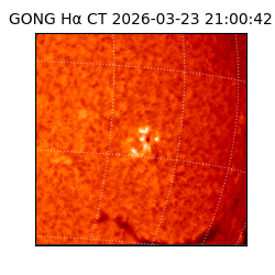 gong - 2026-03-23T21:00:42