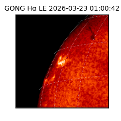 gong - 2026-03-23T01:00:42