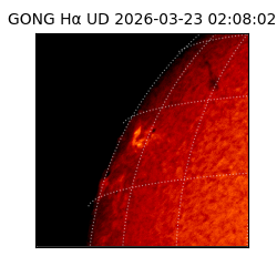 gong - 2026-03-23T02:08:02
