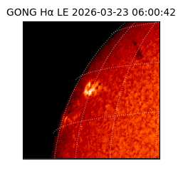 gong - 2026-03-23T06:00:42