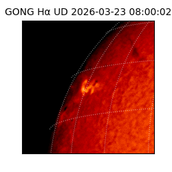 gong - 2026-03-23T08:00:02