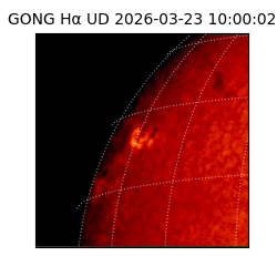 gong - 2026-03-23T10:00:02