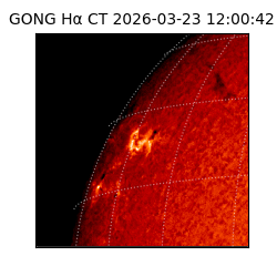 gong - 2026-03-23T12:00:42