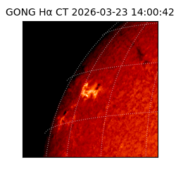gong - 2026-03-23T14:00:42