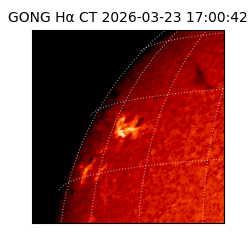 gong - 2026-03-23T17:00:42