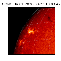 gong - 2026-03-23T18:03:42