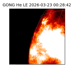 gong - 2026-03-23T00:28:42