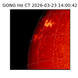 gong - 2026-03-23T14:00:42