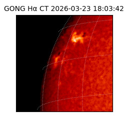 gong - 2026-03-23T18:03:42