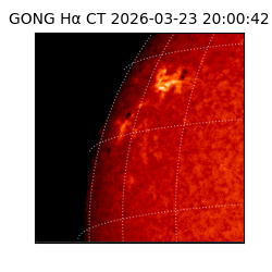 gong - 2026-03-23T20:00:42