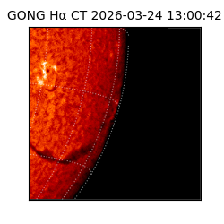 gong - 2026-03-24T13:00:42