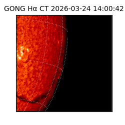 gong - 2026-03-24T14:00:42