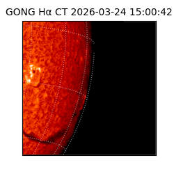 gong - 2026-03-24T15:00:42