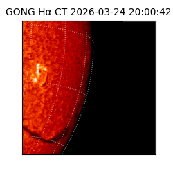gong - 2026-03-24T20:00:42