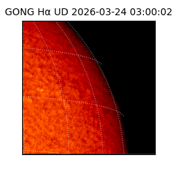 gong - 2026-03-24T03:00:02