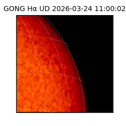 gong - 2026-03-24T11:00:02