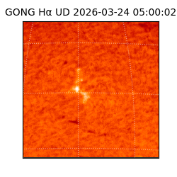 gong - 2026-03-24T05:00:02