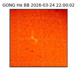 gong - 2026-03-24T22:00:02