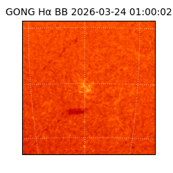 gong - 2026-03-24T01:00:02