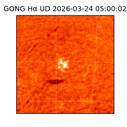 gong - 2026-03-24T05:00:02