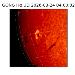 gong - 2026-03-24T04:00:02