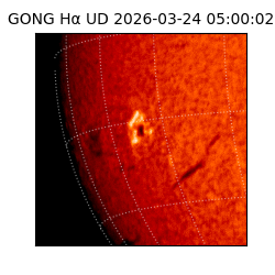 gong - 2026-03-24T05:00:02