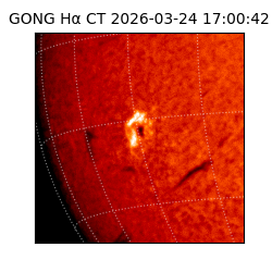 gong - 2026-03-24T17:00:42