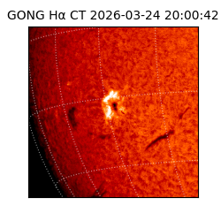 gong - 2026-03-24T20:00:42