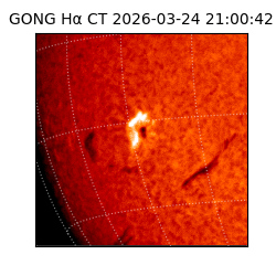 gong - 2026-03-24T21:00:42