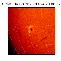 gong - 2026-03-24T23:00:02