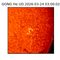 gong - 2026-03-24T03:00:02