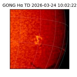 gong - 2026-03-24T10:02:22