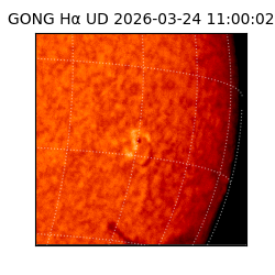 gong - 2026-03-24T11:00:02