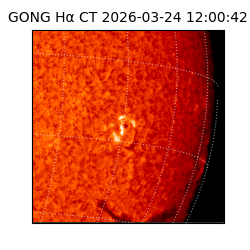 gong - 2026-03-24T12:00:42