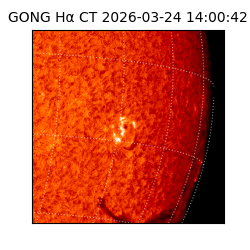 gong - 2026-03-24T14:00:42