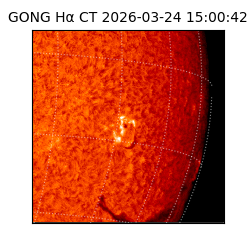 gong - 2026-03-24T15:00:42