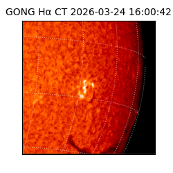 gong - 2026-03-24T16:00:42