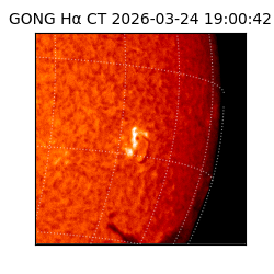 gong - 2026-03-24T19:00:42